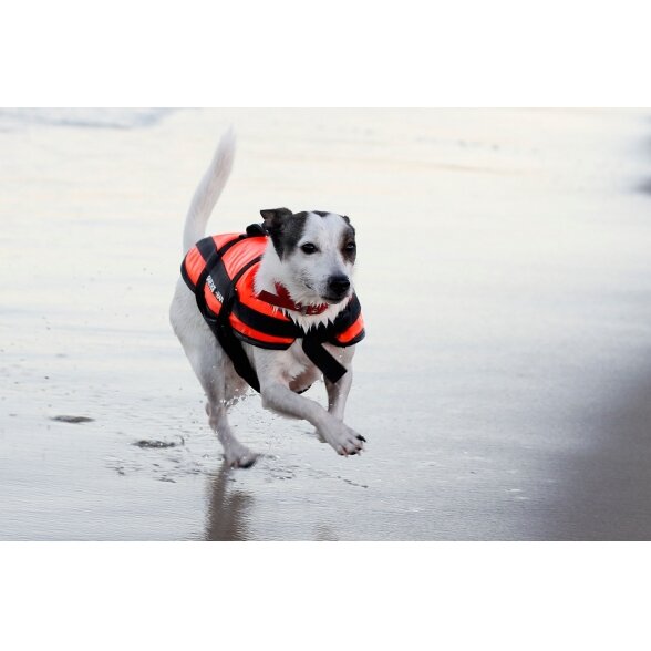 Aquarius animal life vest, orange 1