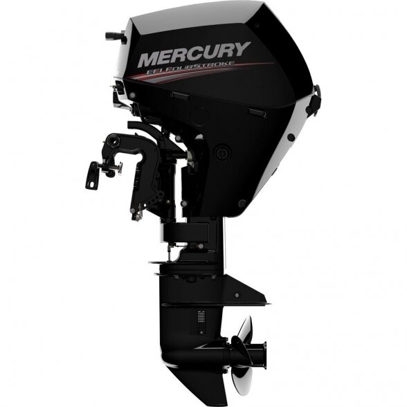 Outboard motor Mercury F20 EL EFI 2