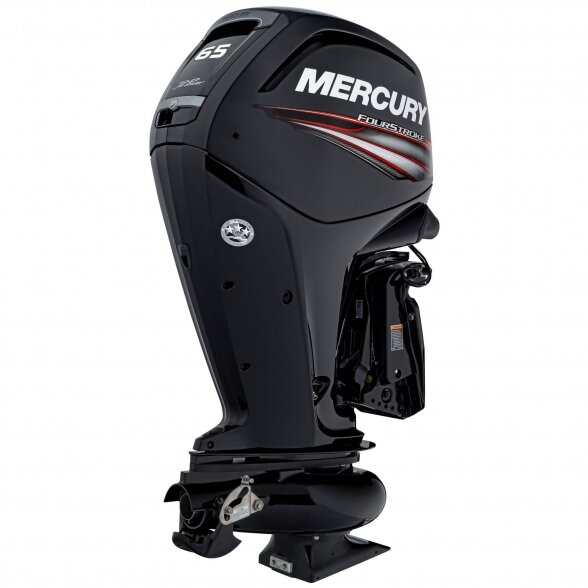 Outboard motor Mercury F65 EXLPT JET 1