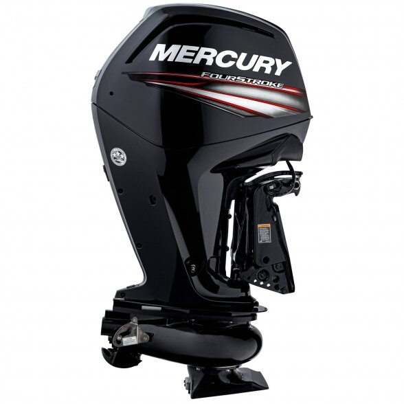 Outboard motor Mercury F65 EXLPT JET 2