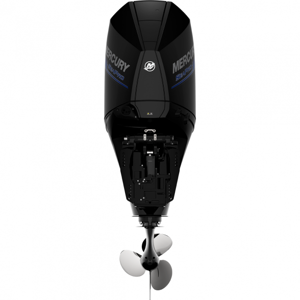 Outboard motor Mercury F225 CXL SeaPro DTS 3