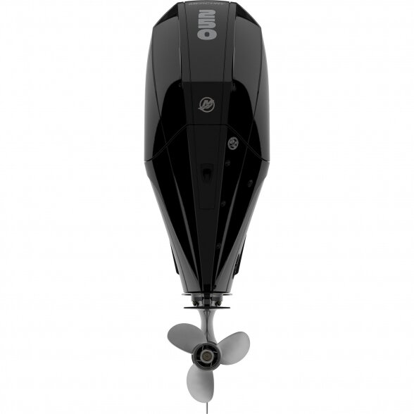 Outboard motor Mercury F250 CXL SeaPro DTS 2