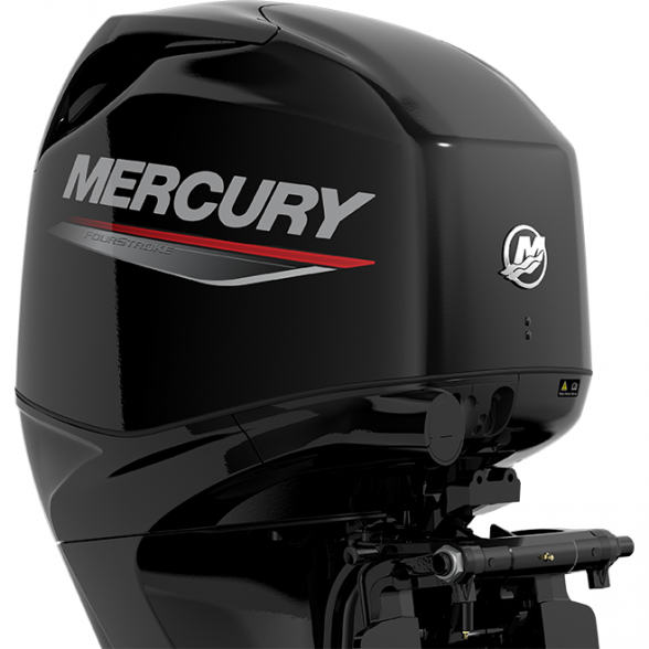 Outboard motor Mercury F40 ELPT EFI 3