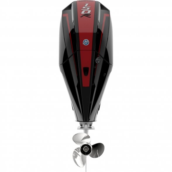 Outboard motor Mercury Racing R150L DS 5