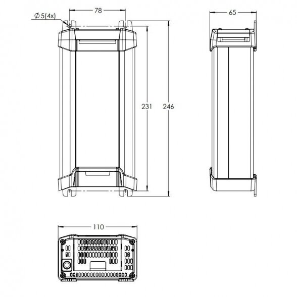 Profesionalus įkroviklis „Victron Energy“ Blue Smart IP22 12/30 (3) 3