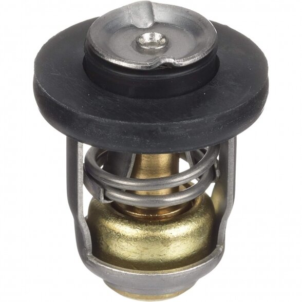 Quicksilver thermostat kit 120° F (825212A1) 1