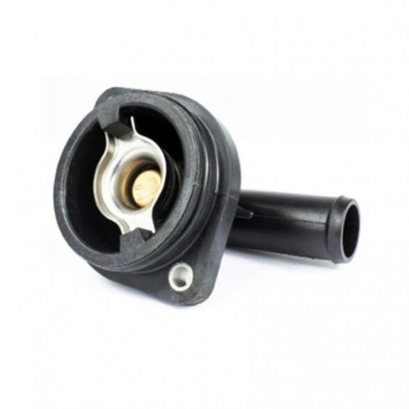 Quicksilver Thermostat / Housing