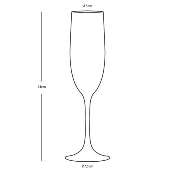 Unbreakable champagne glasses set LIVING (6 pcs.) 3